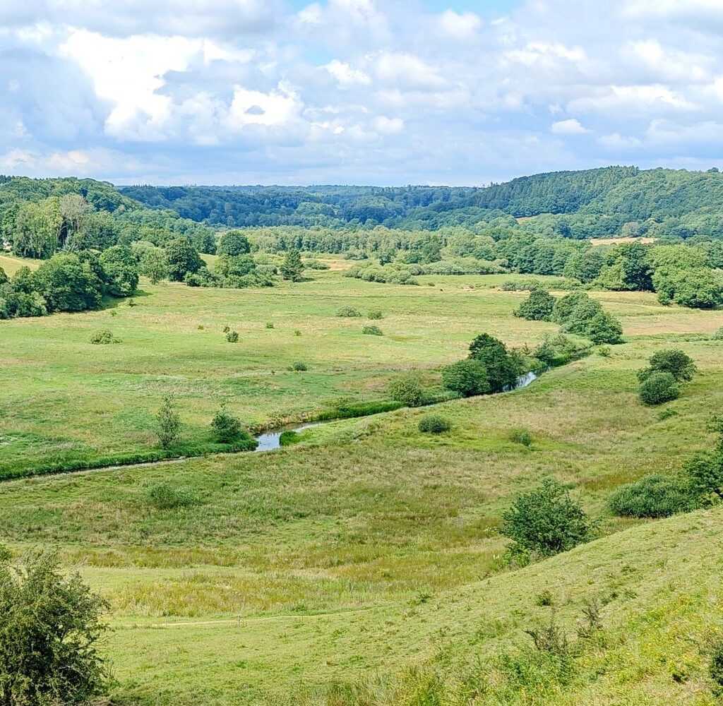 Vejle ådal
