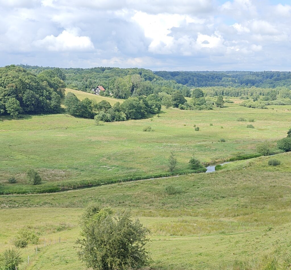 Vejle Ådal - 100.000 års istidslandskab.