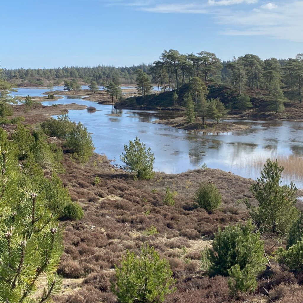 Syvårssøerne - i krigens spor