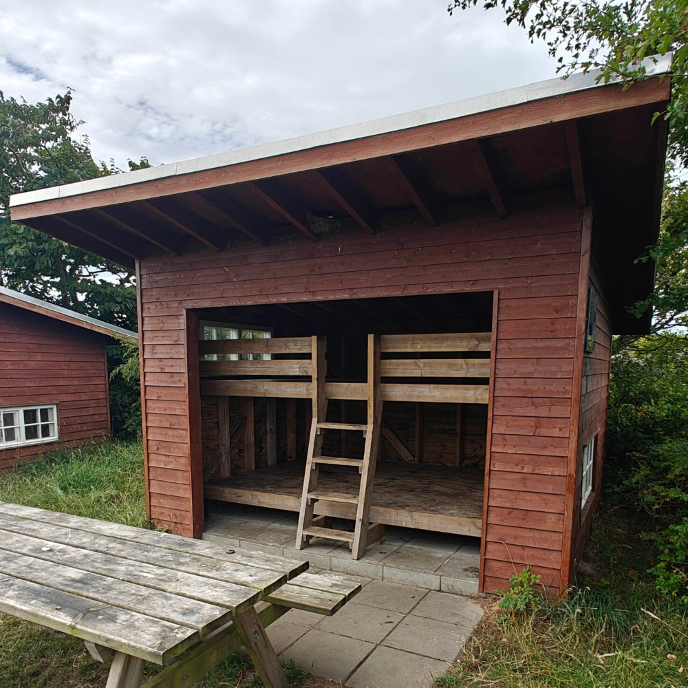 Sort Sol og byvandring i Ribe den 27.-28. september 2025 - Billede 3