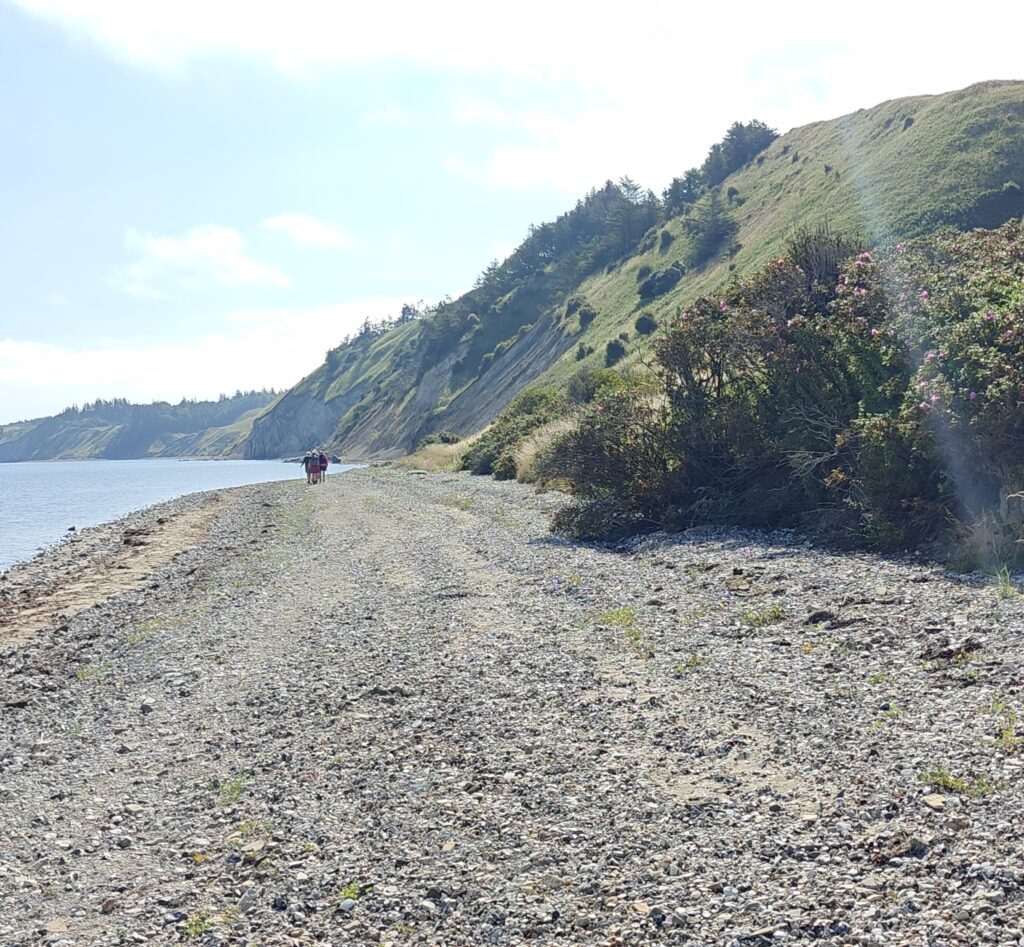 Østerssafari og Hanklit på Mors 15.-16. november 2025