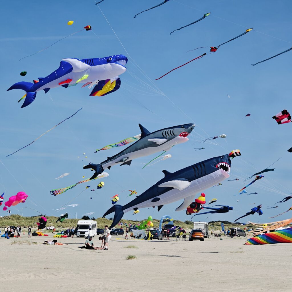 Walk’n’Snork – Dragefestival & Bunkeroplevelse på Fanø | 20.-21. juni 2026