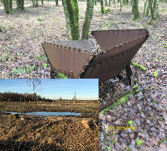 tørvemoser Kragelund mose rewilding